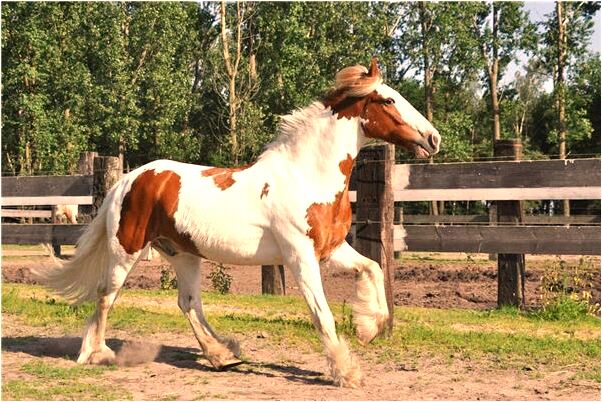 夢到在我奶奶撿了好多錢是什麼意思_周公解夢官網