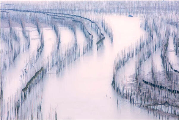 夢見腳被釘子刺穿了無法癒合有什麼預兆_周公解夢官網