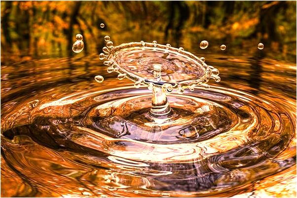 夢到去前男由家但沒有見到他什麼預兆_周公解夢官網