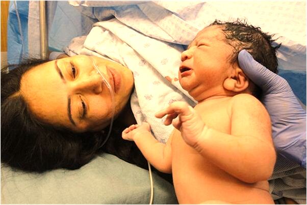 夢見一隻大老鼠和一窩小老鼠是啥意思_周公解夢官網