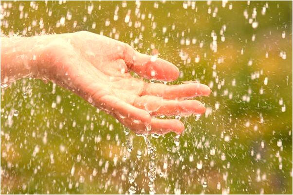 夢到別人都去吃飯了我沒吃是吉兆嗎?_周公解夢官網