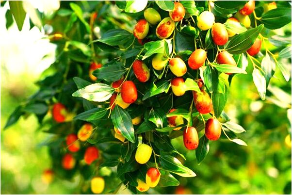 夢見山頂房頂發大水有什麼意思嗎_周公解夢官網