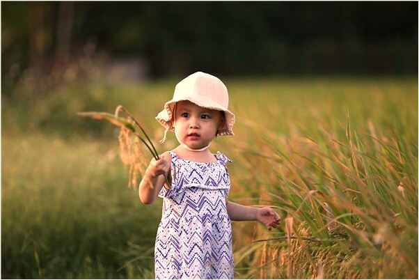 夢見一顆珍珠由天上掉入手中什麼寓意_周公解夢官網