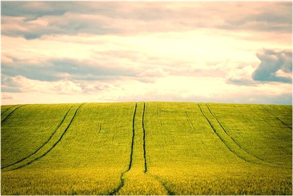 夢見小偷師是什麼徵兆_周公解夢官網