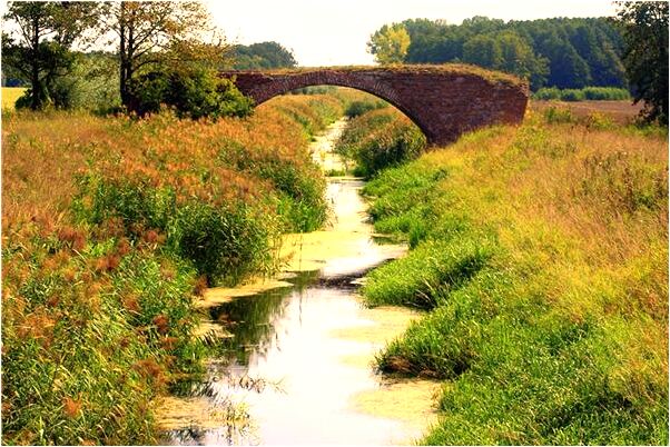 夢到廁所里沒糞有水是啥預兆_周公解夢官網