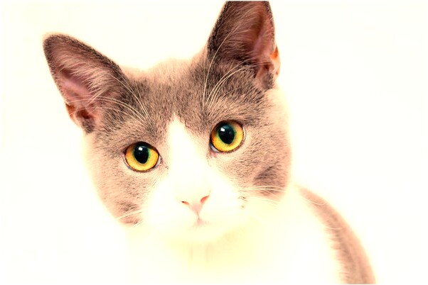 夢到了路過廁所有什麼含義_周公解夢官網