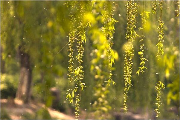 夢到回姥爺家住會有什麼預兆_周公解夢官網