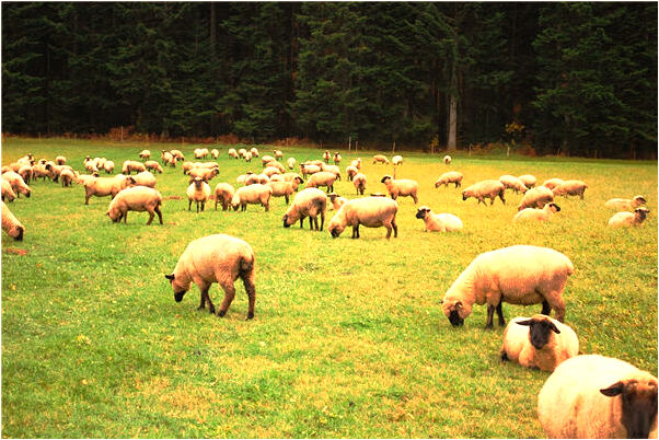 夢到自己和別人跳舞是好的徵兆嗎_周公解夢官網