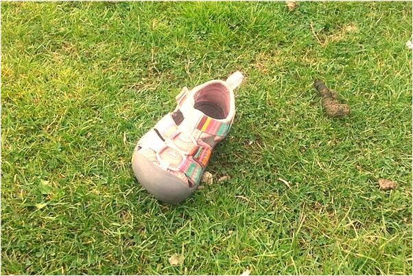 夢到下大暴雨房子漏雨預示了什麼_周公解夢官網