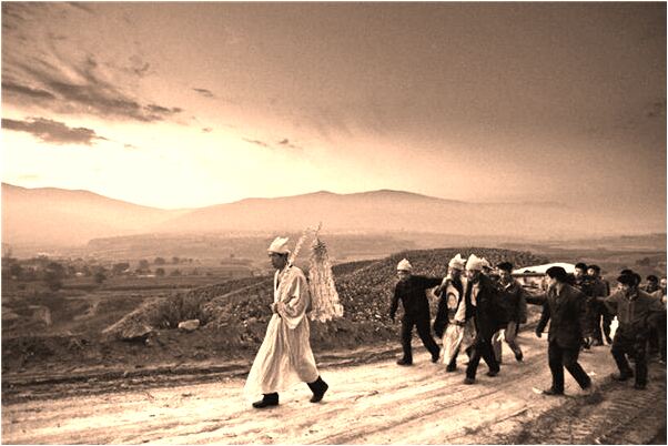 夢到床底下有一條小白蛇會是什麼預兆_周公解夢官網