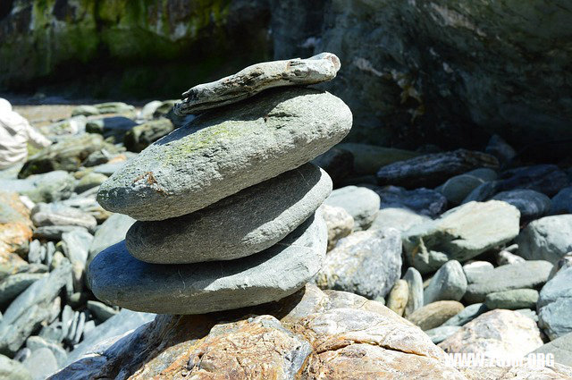 夢見動物生崽_周公解夢夢到動物生崽是什麼意思_做夢夢見動物生崽好不好_周公解夢官網