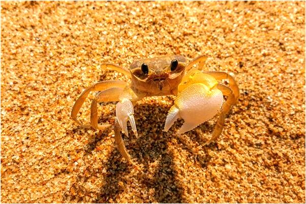 夢見被人按著溺水有什麼預示嗎_周公解夢官網