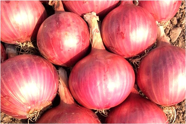 夢到強吻女孩代表著什麼_周公解夢官網