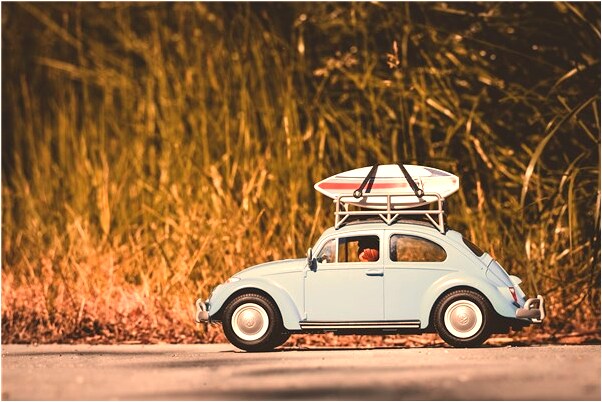 夢到好多人炒雞肉預兆了什麼嗎_周公解夢官網