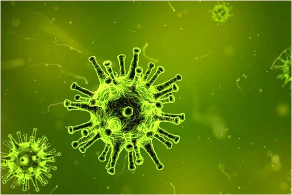 夢見黃瓜苗的圖怎么解釋有什麼寓意嗎?_周公解夢官網