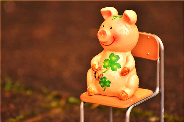 夢見殺生病的雞有什麼說法_周公解夢官網