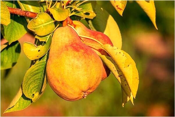 夢到拍恐怖片預兆了什麼嗎_周公解夢官網