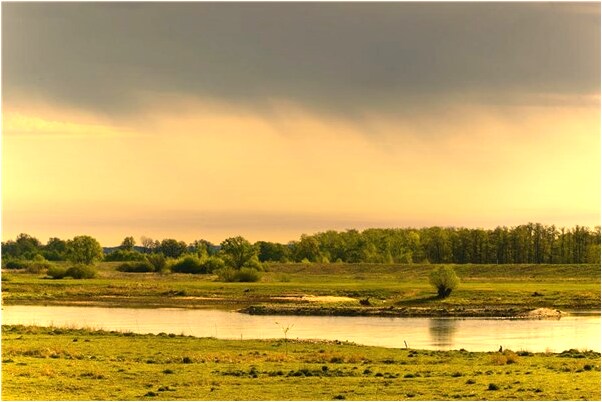 夢見自己大卸八塊預示什麼_周公解夢官網