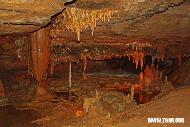 夢見大閘蟹_周公解夢夢到大閘蟹是什麼意思_做夢夢見大閘蟹好不好_周公解夢官網