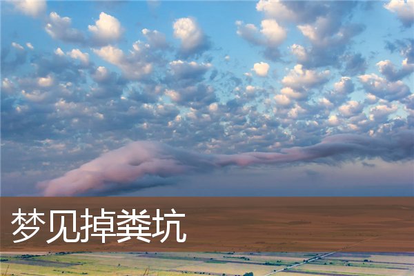 夢見掉糞坑_周公解夢