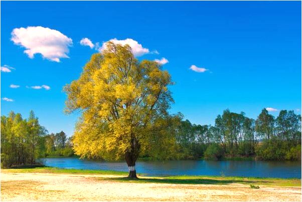 夢到了帶了一條金項鍊怎么樣_周公解夢官網