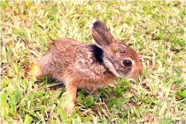 夢到了墳頭塌陷意味什麼_周公解夢官網