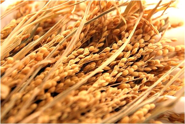 夢到想大便卻脫不掉褲子代表著什麼？_周公解夢官網