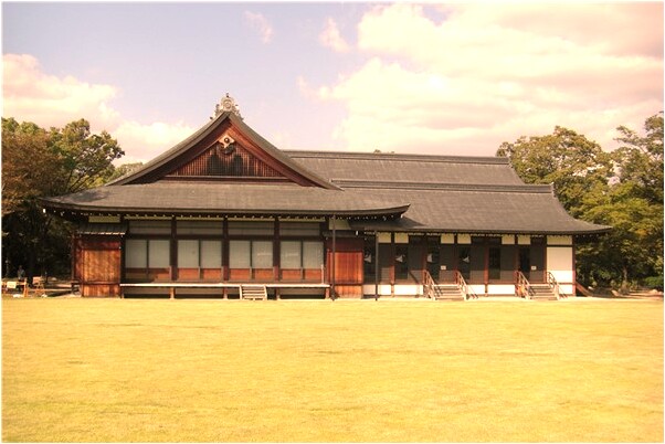 夢到打蛇並和蛇對峙有什麼含義_周公解夢官網