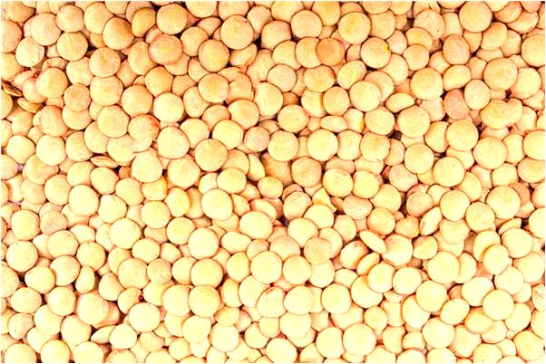 夢見陌生男人摸我後背怎么回事_周公解夢官網