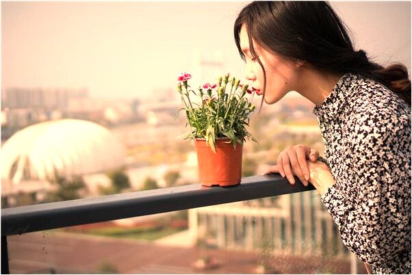 夢到好朋友房子煤氣泄露燒了她有什麼說法_周公解夢官網