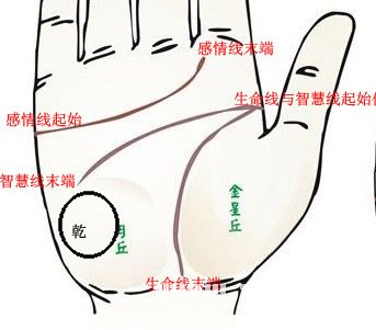 Diagram of office romance often occurred in the palm