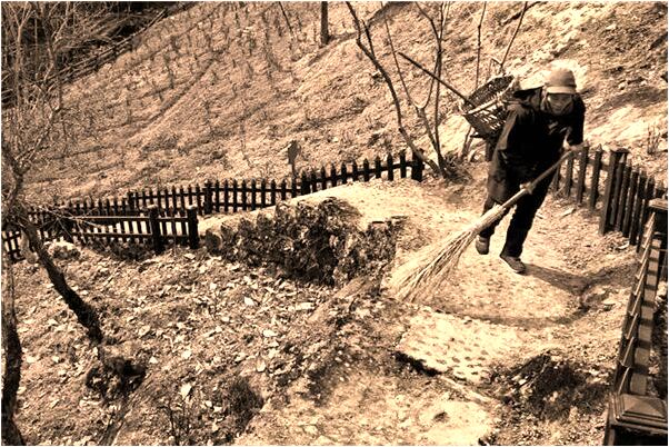 夢見有人在大樹上摔下是吉兆嗎?_周公解夢官網