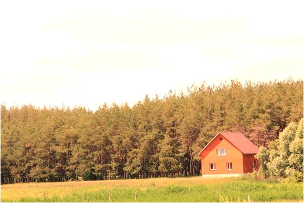 夢見我的腳被狗咬了怎么說_周公解夢官網