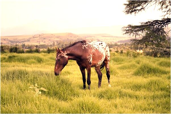夢到了借錢人吵是什麼預兆?_周公解夢官網