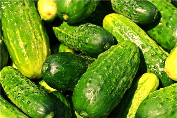 夢到了枯木發芽什麼預兆_周公解夢官網