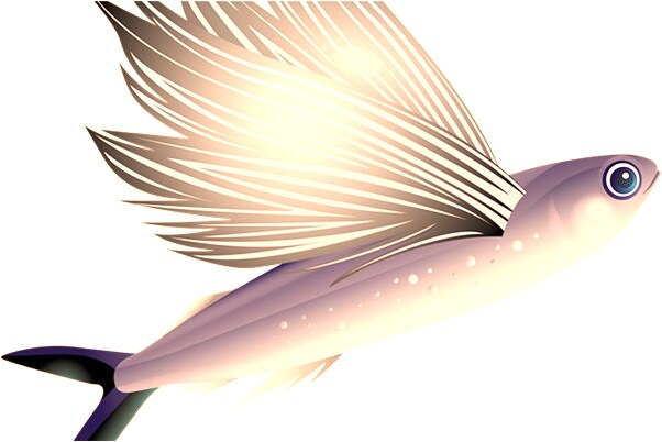 夢到了踢狗食盆是什麼啟示_周公解夢官網