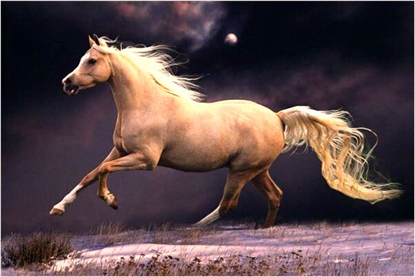 夢見老公要跟自己離婚什麼寓意_周公解夢官網