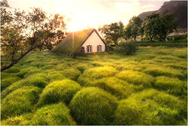 夢見摸男人陰莖好不好_周公解夢官網