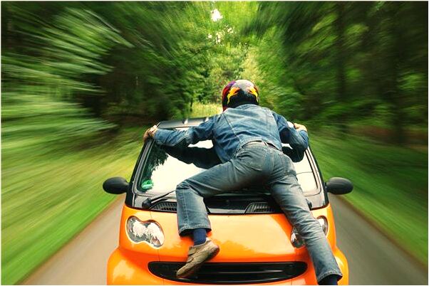 夢見一槍打落四隻鳥是什麼預兆_周公解夢官網