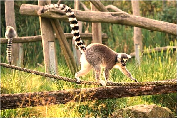 夢到自己上兩個不漂亮的男孩是凶兆還是吉兆_周公解夢官網