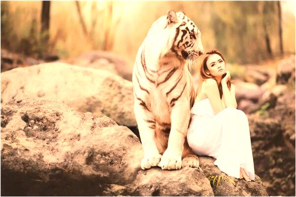 夢到鍋爐外泄會是什麼預兆_周公解夢官網