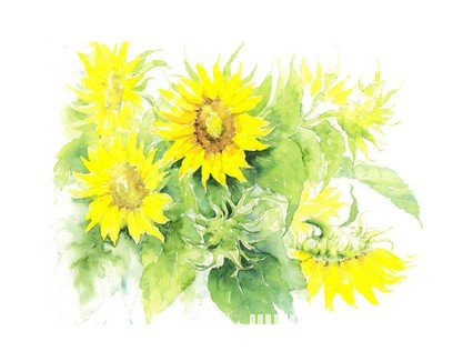 不怕女友花錢的星座男_十二星座