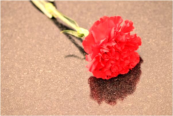 夢到了黑色的小金魚是啥意思_周公解夢官網