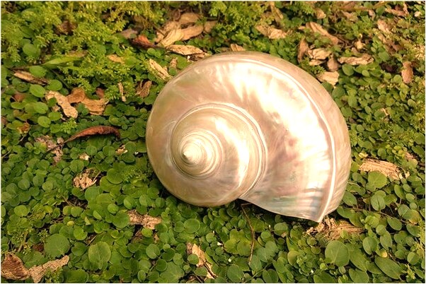 夢見轎車輪胎漏氣是咋回事_周公解夢官網