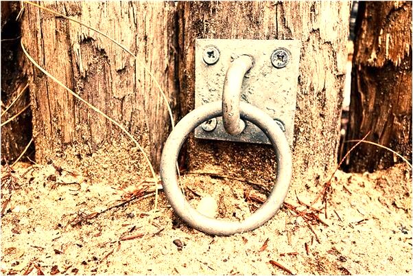 夢見背著人有何寓意_周公解夢官網