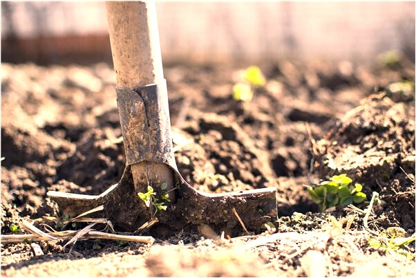 夢到生外星人意味著什麼_周公解夢官網