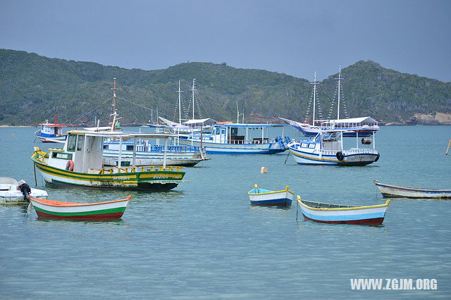 夢見黑狗咬自己的手_周公解夢夢到黑狗咬自己的手是什麼意思_做夢夢見黑狗咬自己的手好不好_周公解夢官網