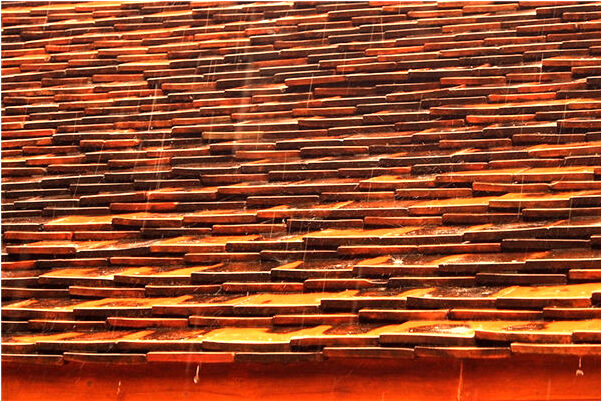 夢到了朋友失憶了啥意思_周公解夢官網