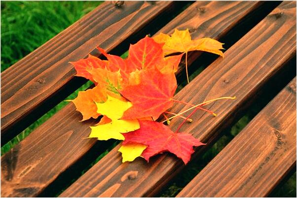 夢到媽媽魂魄會是什麼預兆_周公解夢官網