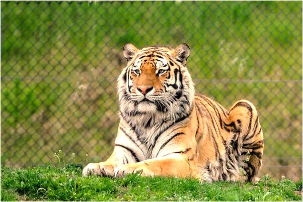 夢到了我被水淋濕了衣服是什麼意思？_周公解夢官網